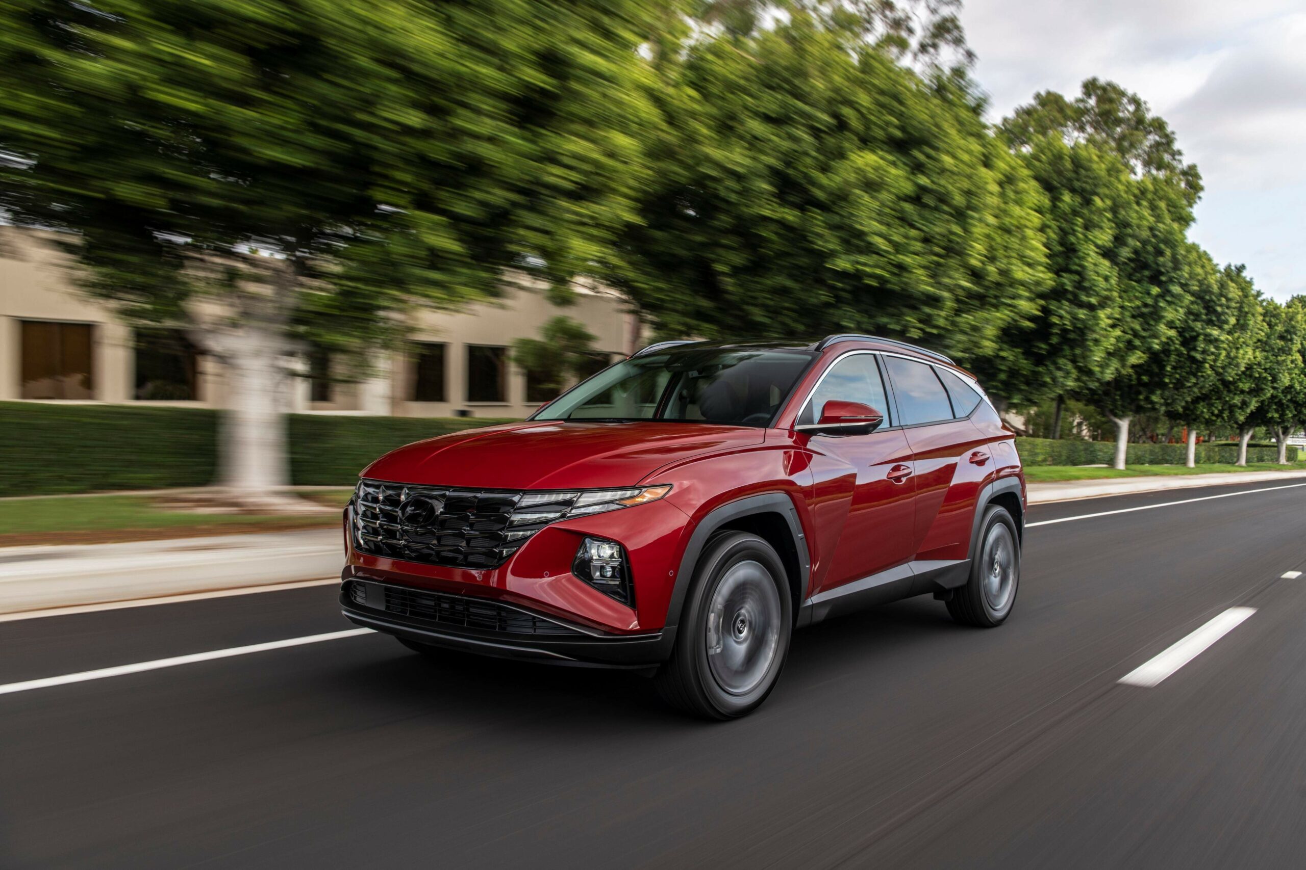 Vettura del parco vendita Salentauto su strada